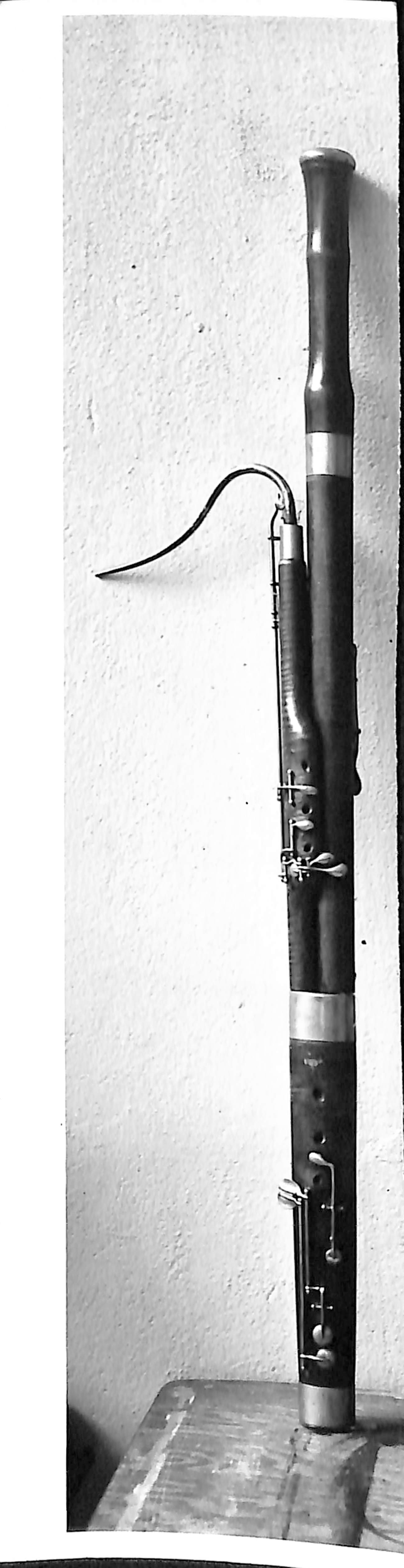 Bassoons The Bate Collection