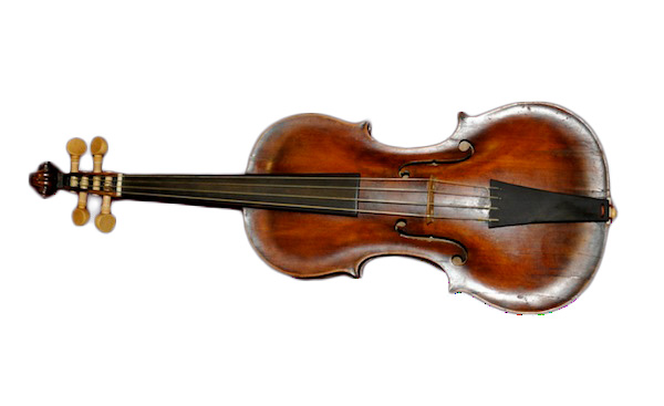 violin family
