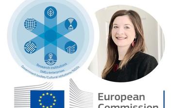 vai eu cofund scheme