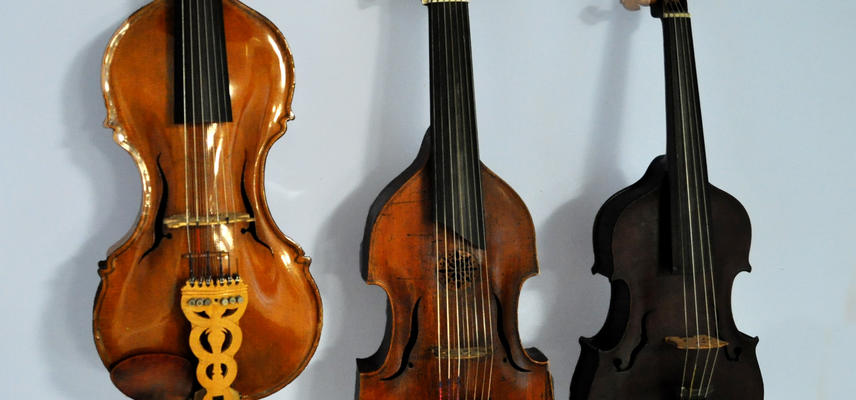 String instruments on display