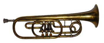 trumpet