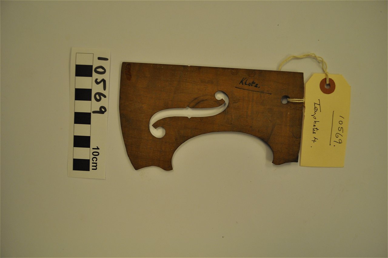 Violin