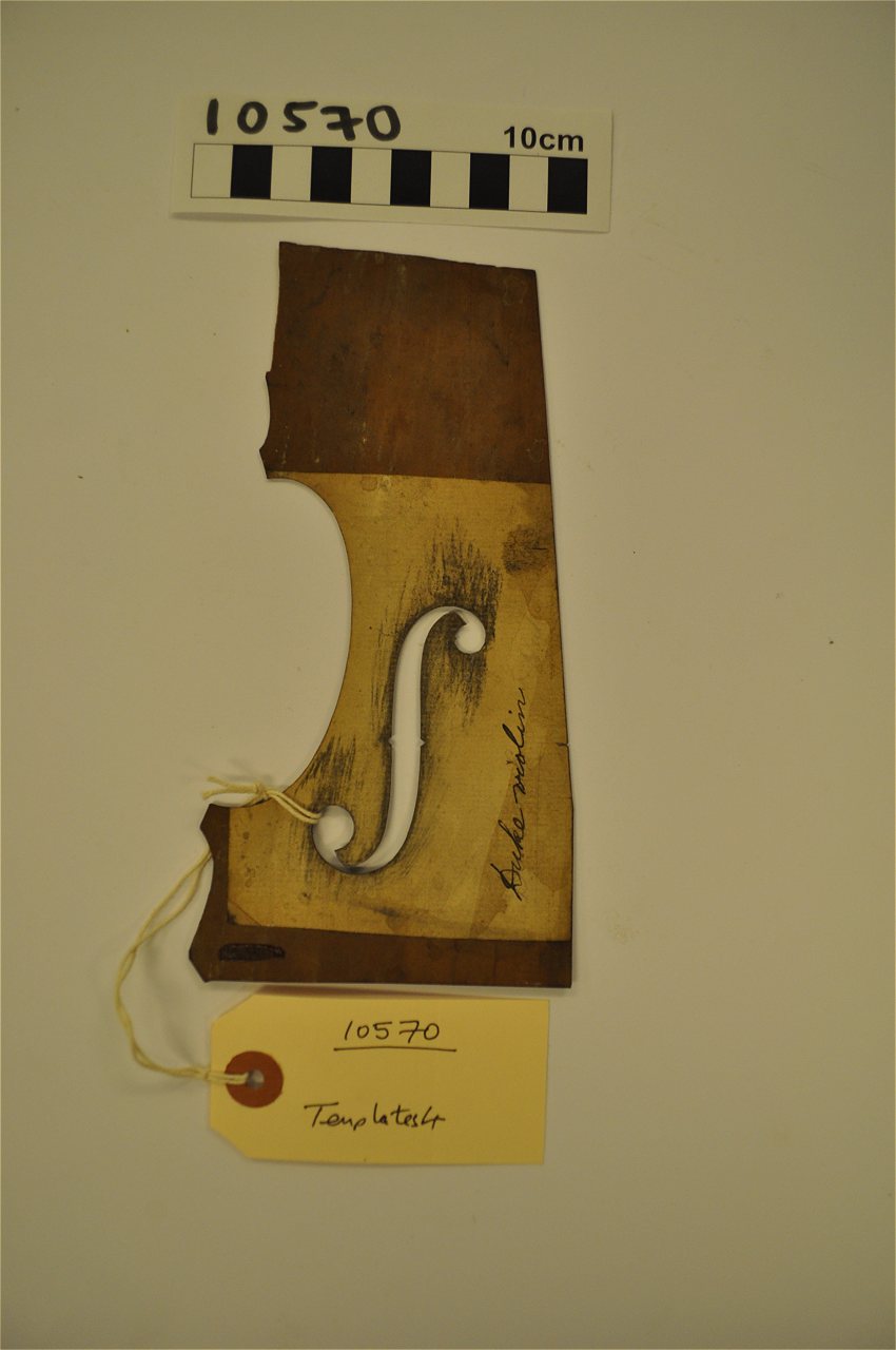 Violin