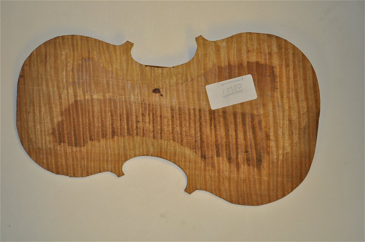 Violin
