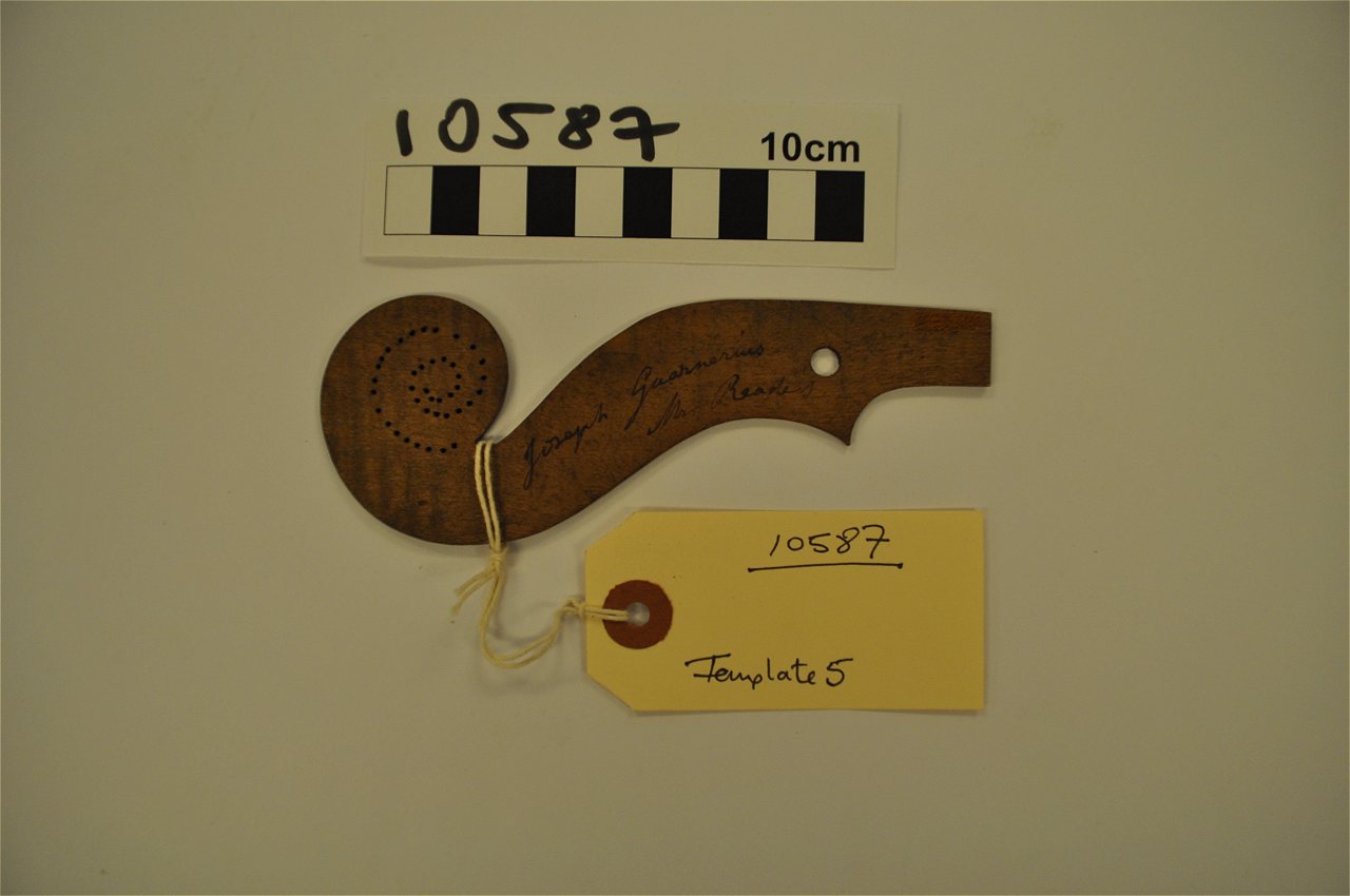 Violin