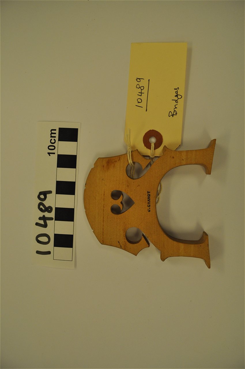 violin