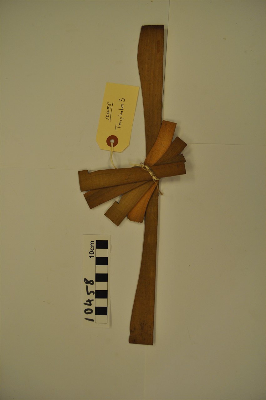 violin