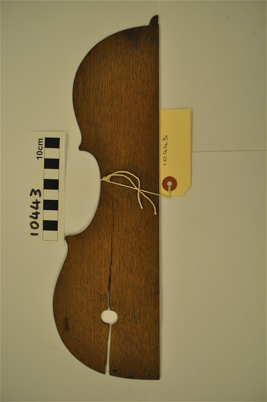 violin
