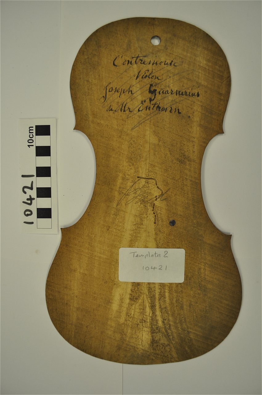 violin