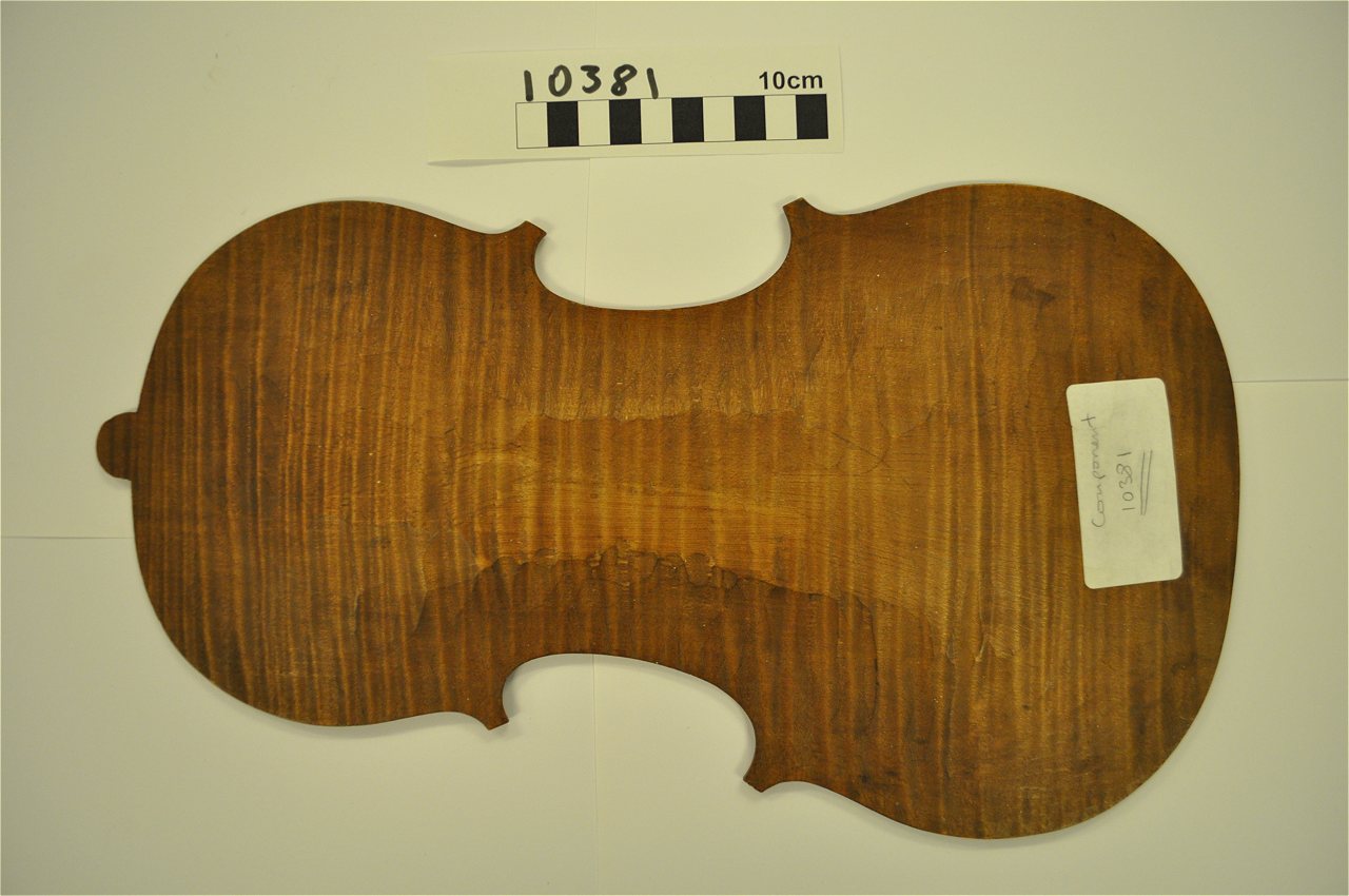 violin