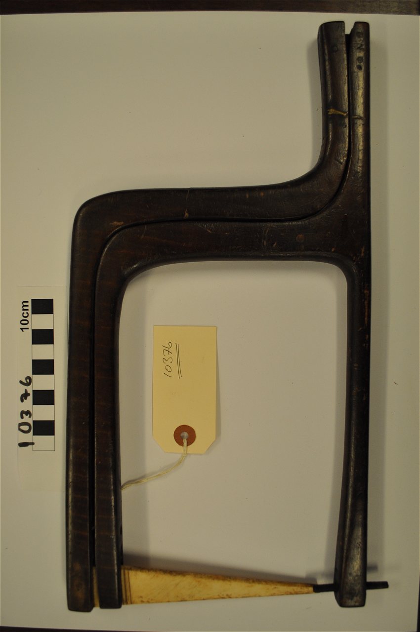 violin
