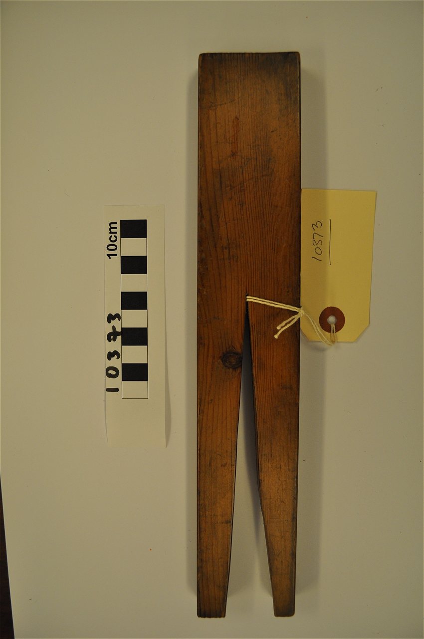 violin