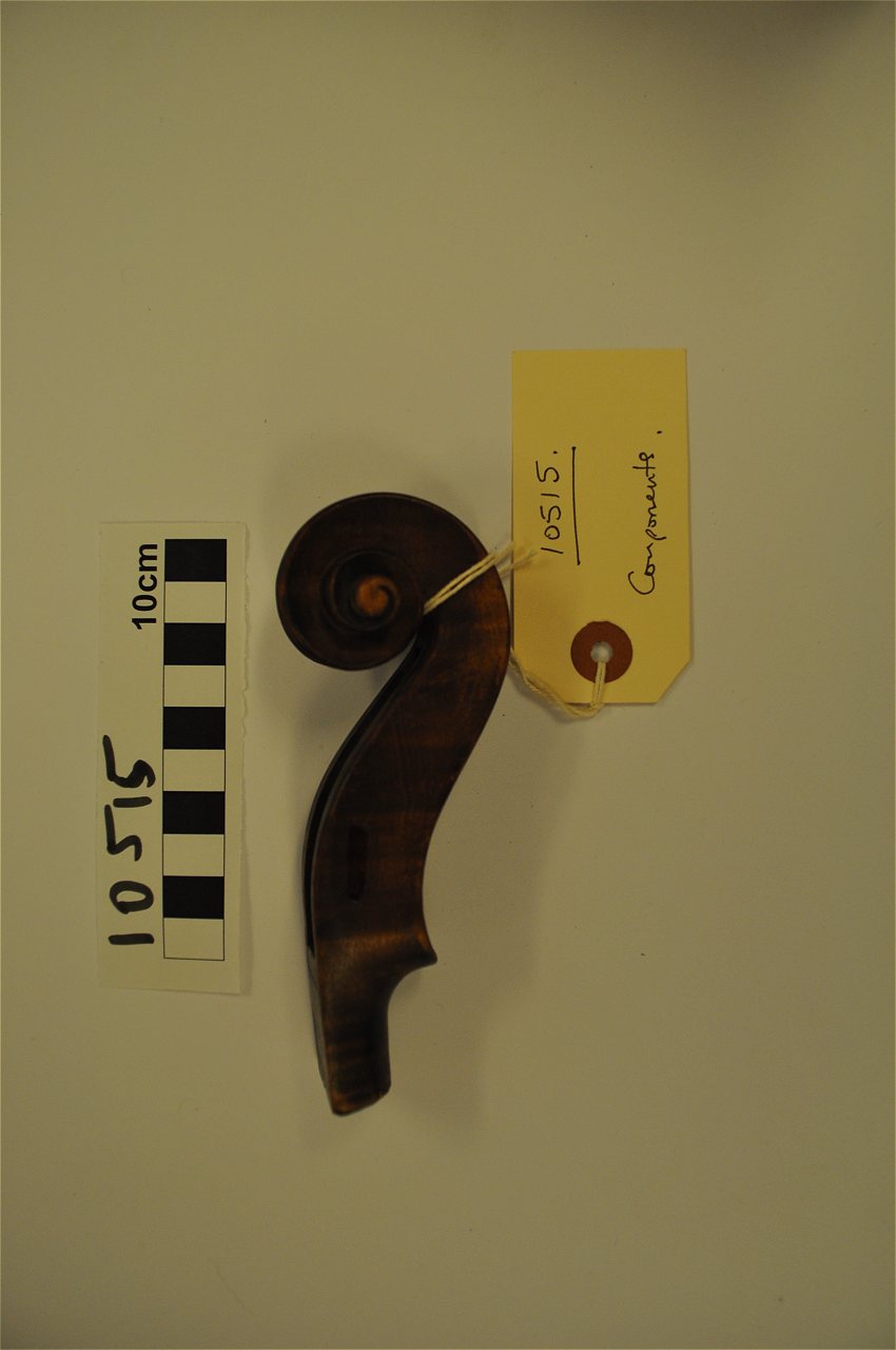 violin
