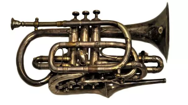 648 echo cornet