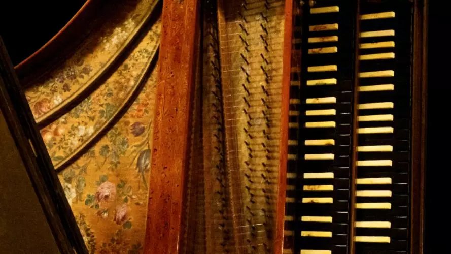 harpsichord full body