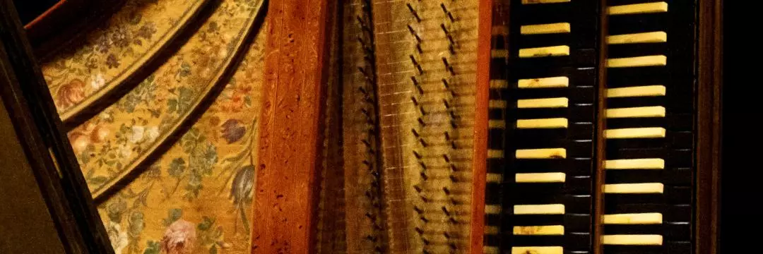 harpsichord full body