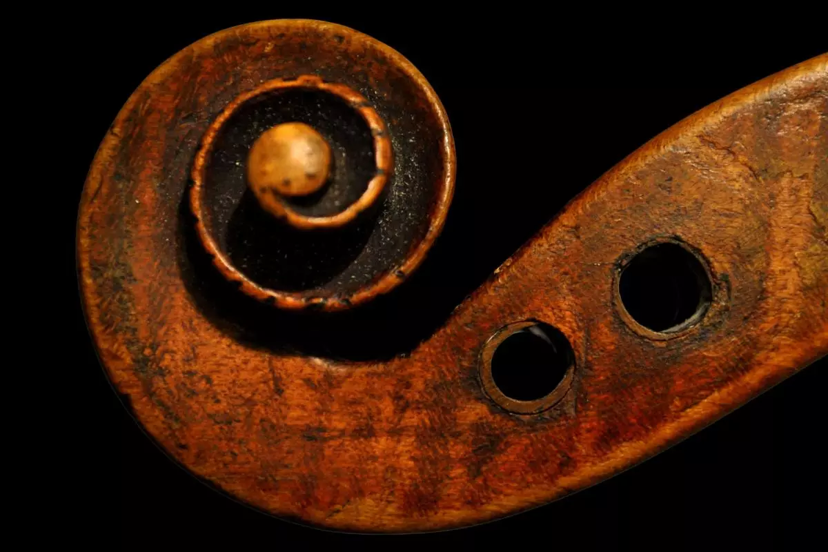 violin scroll